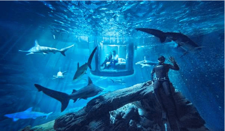Airbnb, una noche con tiburones