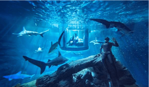 Airbnb, una noche con tiburones