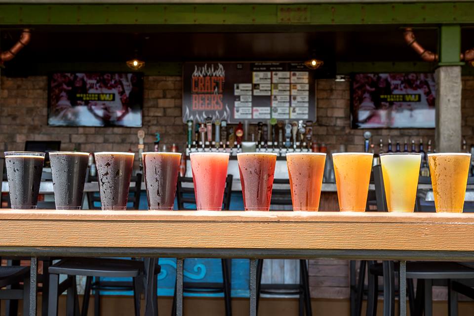 festival_cerveza_seaworld_orlando_02