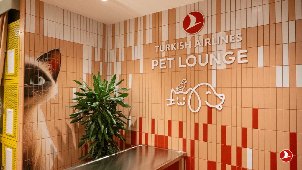 🐶 🛫 Descubre cómo viajar con tu mascota de forma sencilla y sin estrés con Turkish Airlines. Desde documentación y políticas pet-friendly hasta el innovador Pet Lounge en Estambul, esta guía reúne todo lo que necesitas saber para volar con tu compañero peludo de manera cómoda, segura y transparente.
